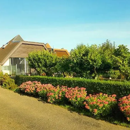 Lovely Bungalow Till 6 Persons Near Amsterdam And The Sea