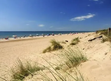 Ferienhaus Lovely Bungalow Till 6 Persons Near Amsterdam And The Sea Opmeer